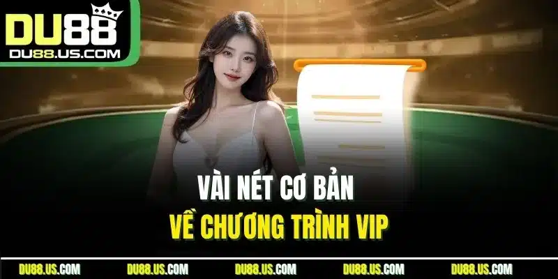 Vài nét cơ bản về chương trình VIP